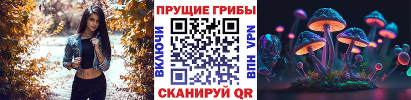 Псилоцибиновые грибы Psilocybine cubensis  Купить закладки  Ржев 